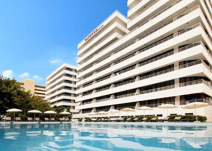 The Navigator - Olympus Marina